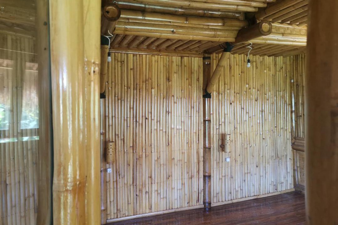 Photo of Others in Medewi