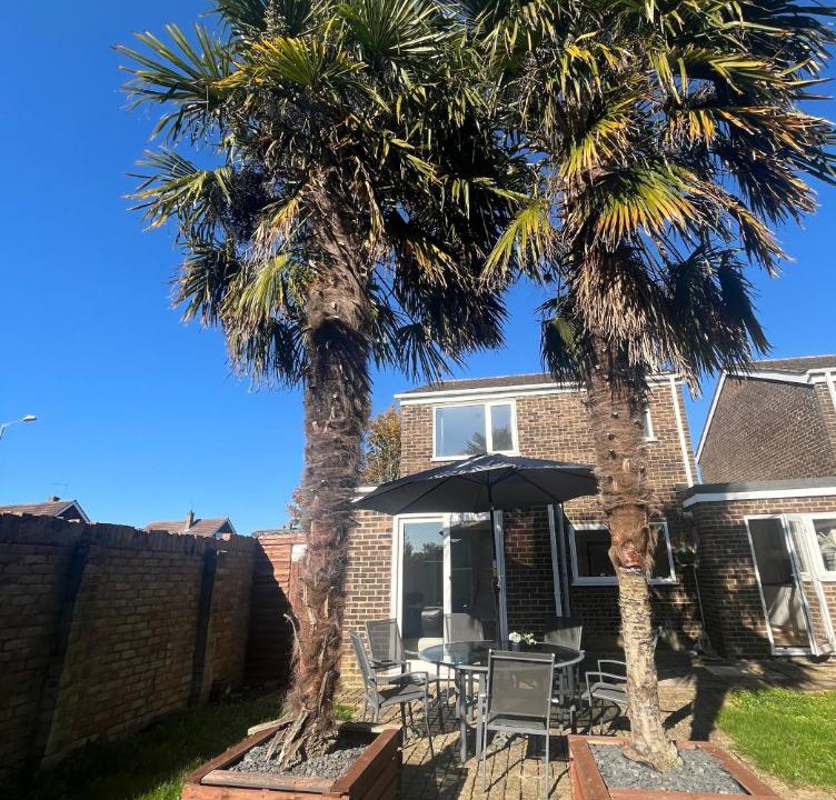 Photo of Others in St Ives