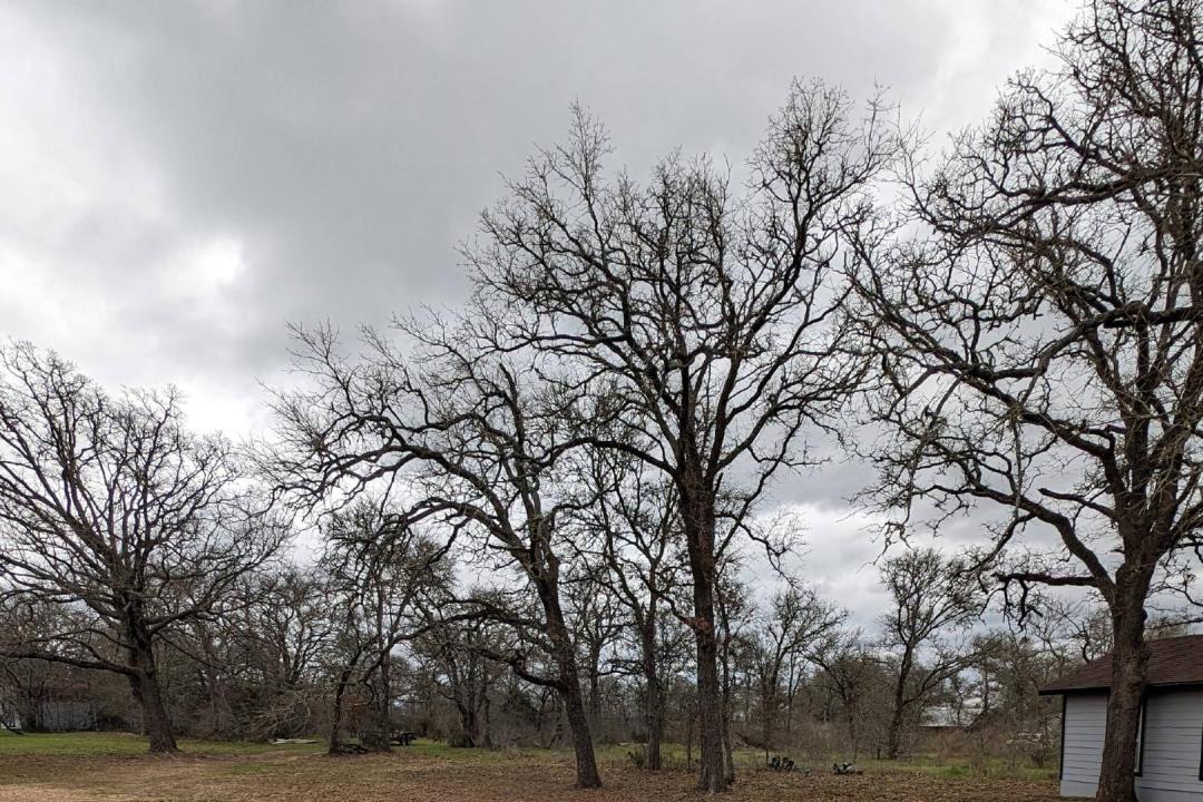 Photo of Others in Cedar Creek