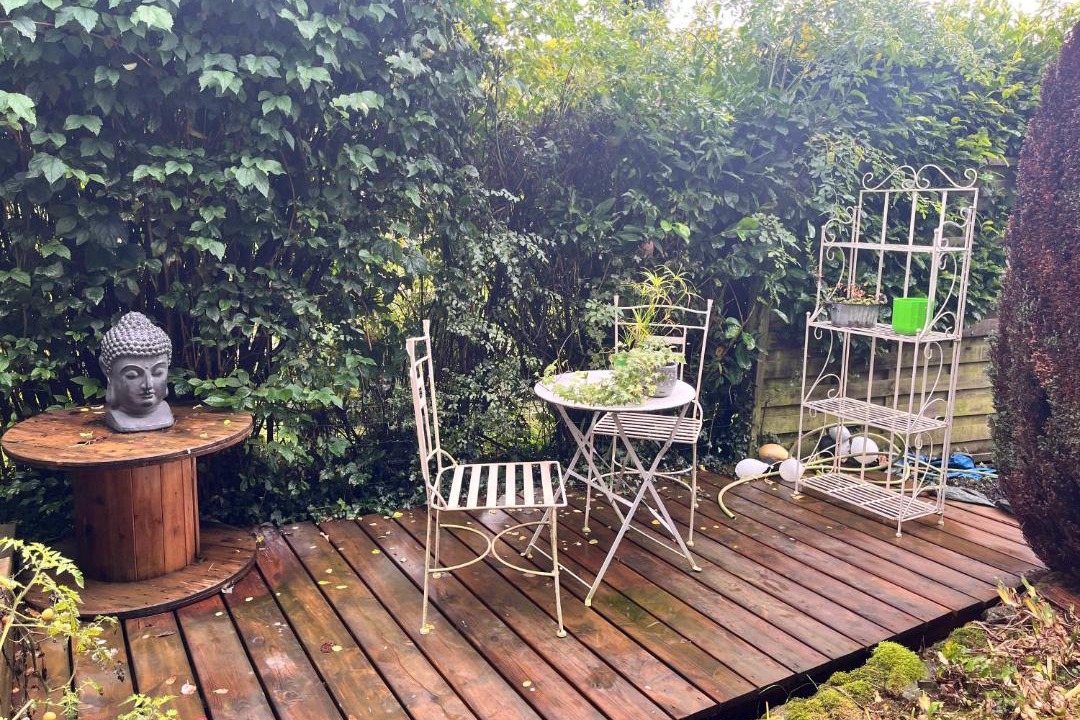 Photo of Others in Quintal