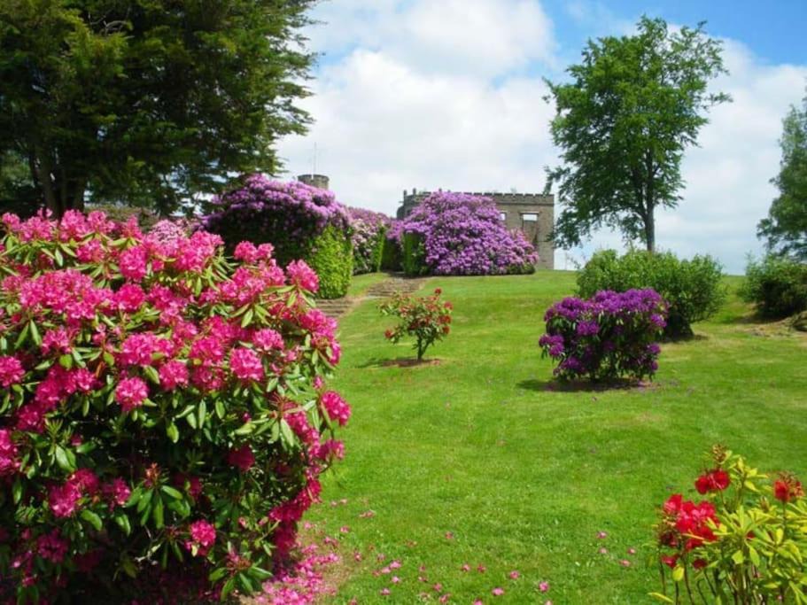 Photo of Outdoor in Cerisy-Belle-Etoile