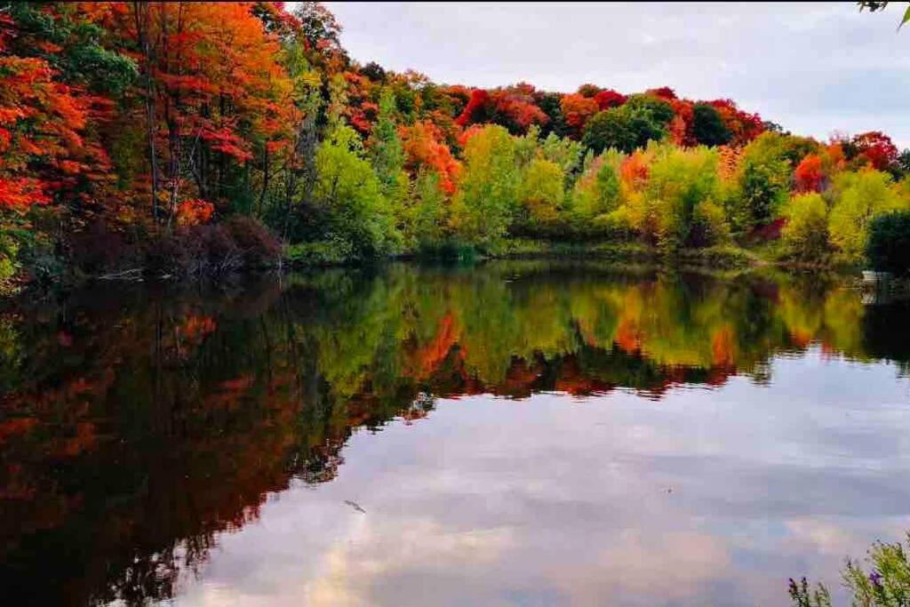 Photo of Others in Campbellford