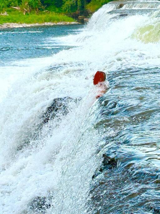 Photo of Human In Picture in Campbellford