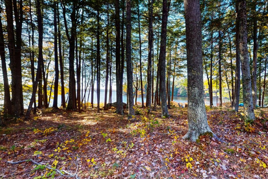 Photo of Others in Bremen