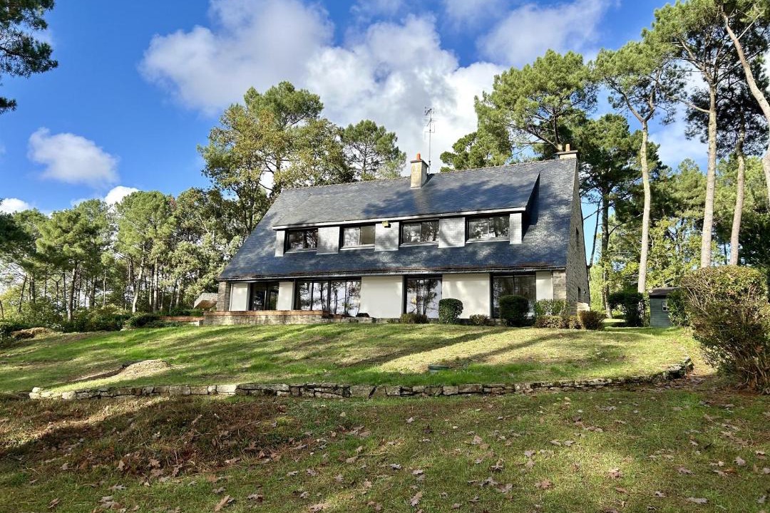 Photo of Others in Vannes