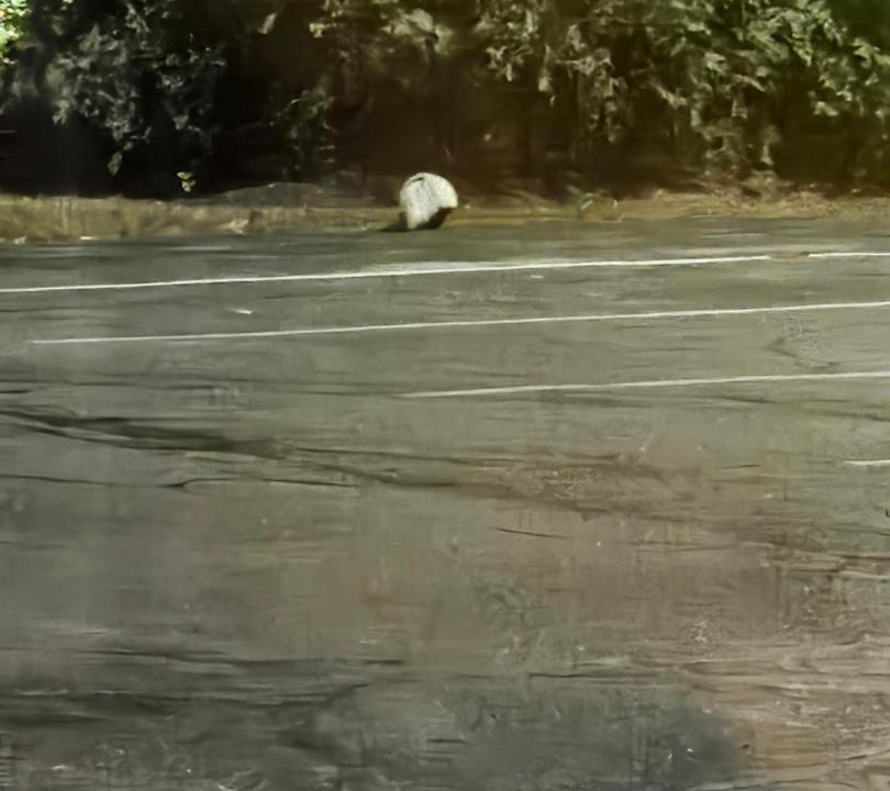 Photo of Others in Berlin