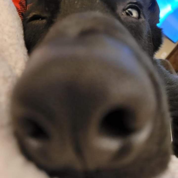 Photo of Others in Berlin