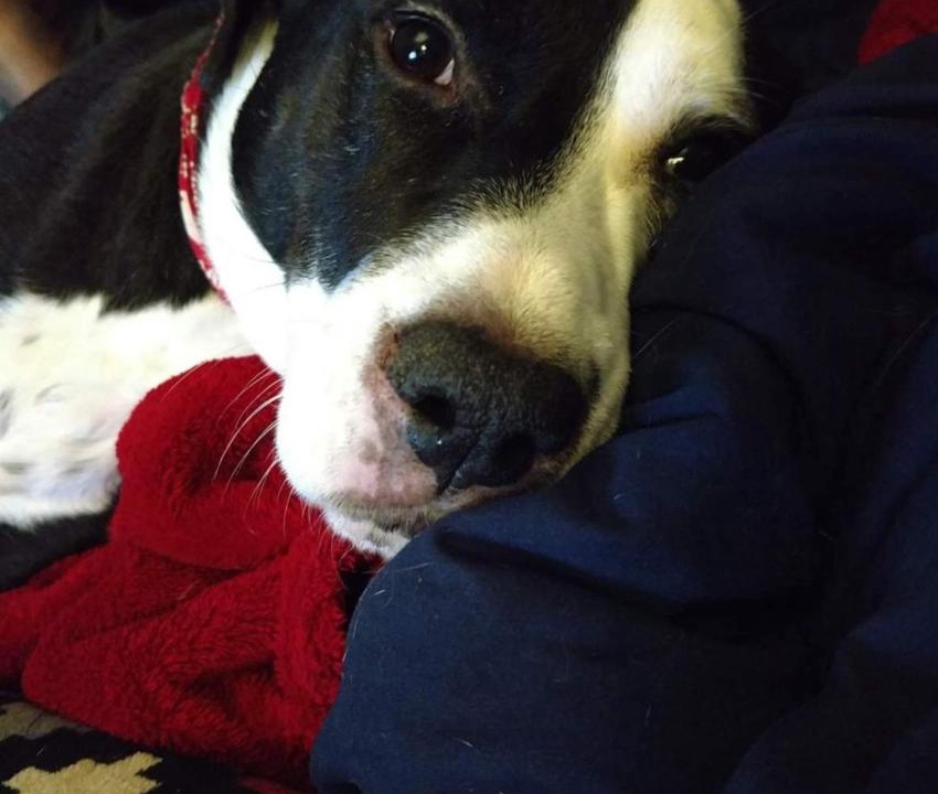 Photo of Others in Berlin