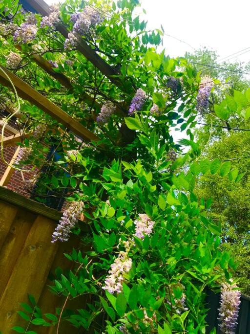 Photo of Others in Mount Pleasant West