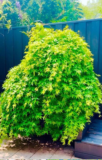 Photo of Outdoor in Mount Pleasant West