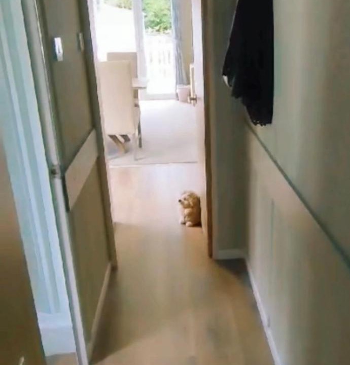 Photo of Others in Hamworthy