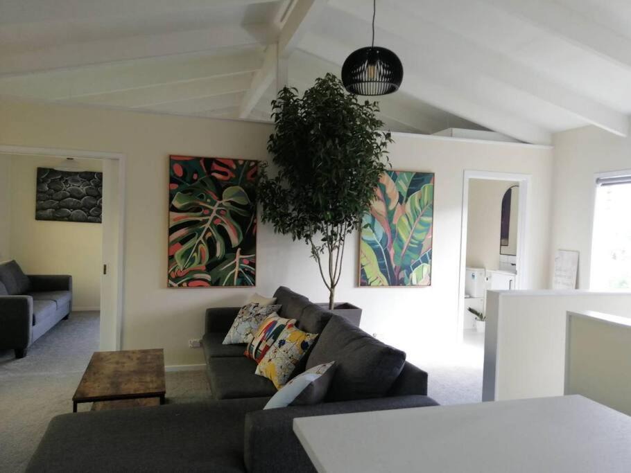 Photo of Others in Takapuna