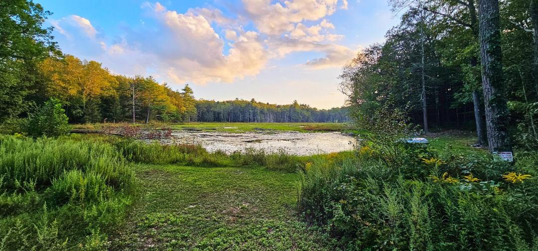 Photo of Others in Cuddebackville