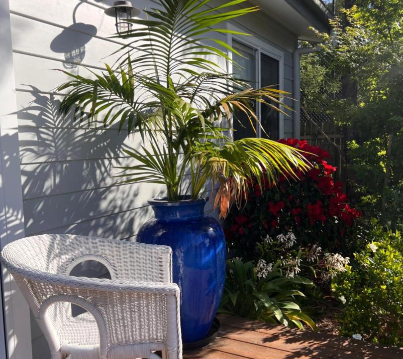 Photo of Patio Balcony in Avalon Beach