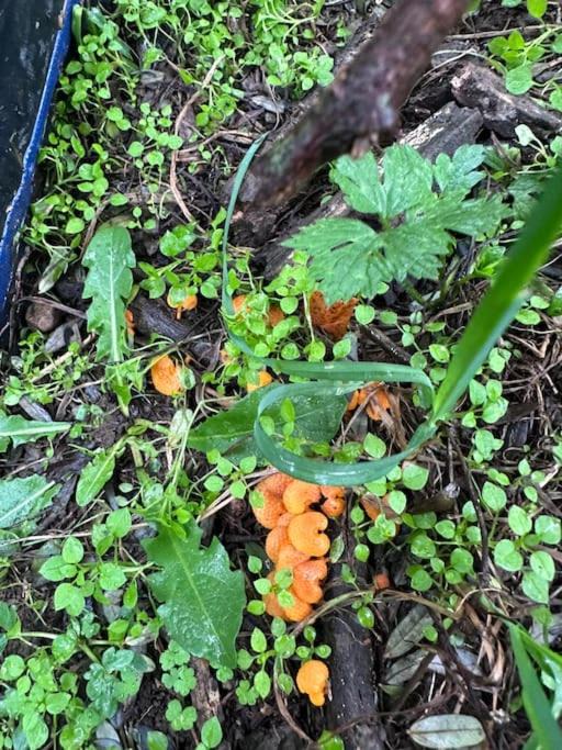 Photo of Outdoor in Solway