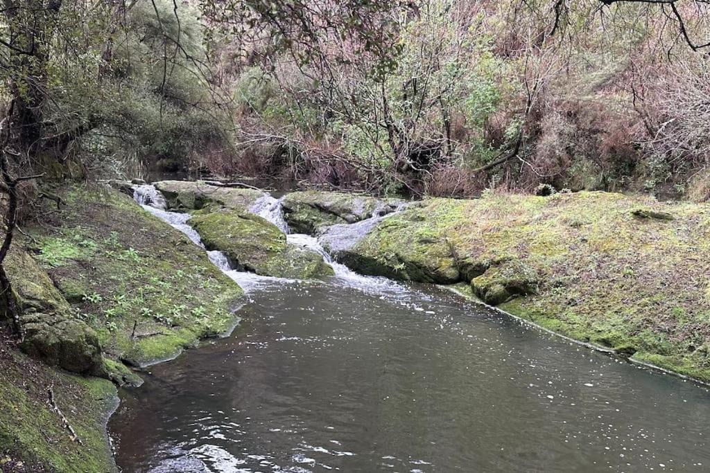 Photo of Others in Solway