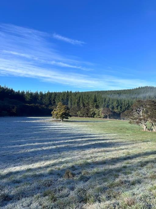 Photo of Others in Solway