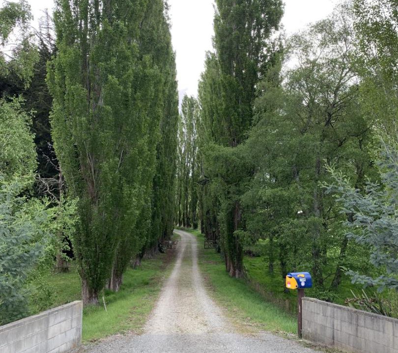 Photo of Others in Herbert