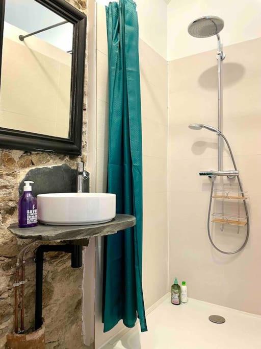 Photo of Bathroom in Moze-sur-Louet