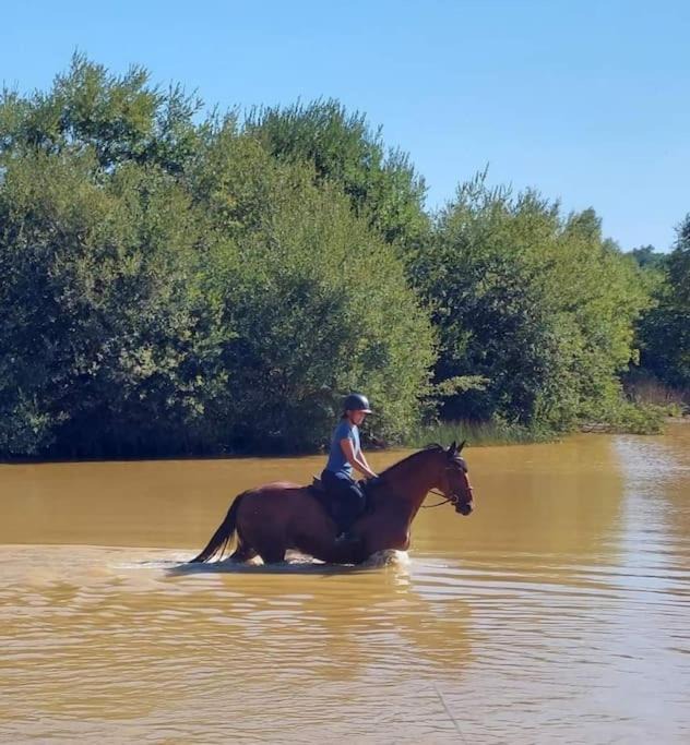 Photo of Others in Les Aspres