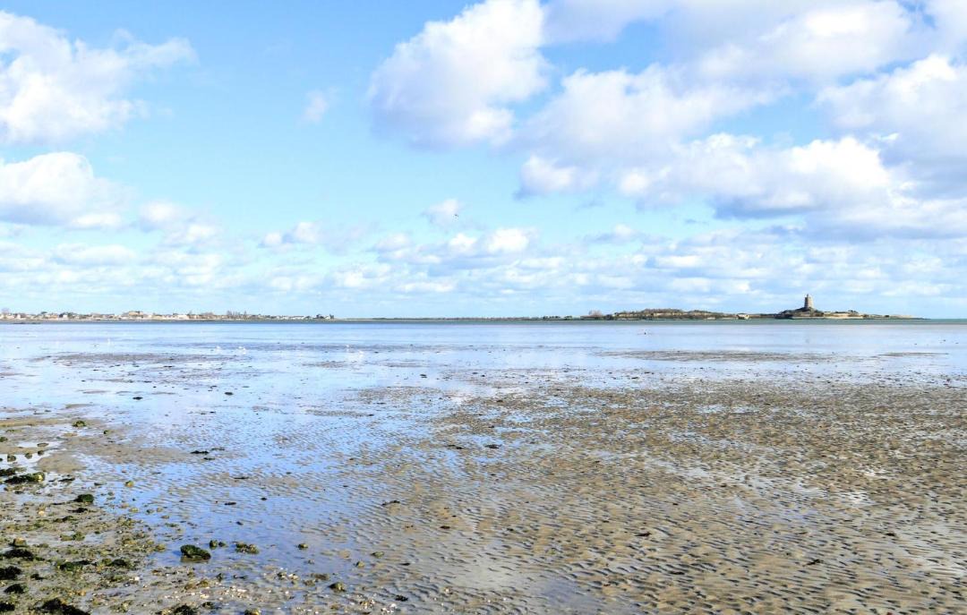 Photo of Others in Saint-Marcouf