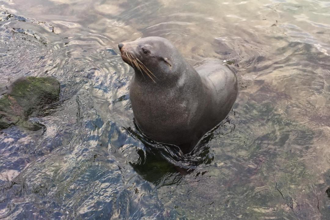 Photo of Others in Portland