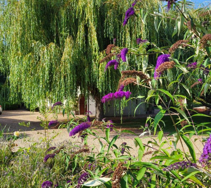 Photo of Others in Rigny-Usse