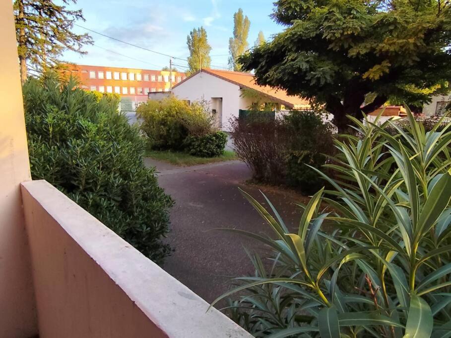 Photo of Others in Romans-sur-Isere