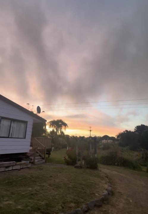 Photo of Others in Te Kaha