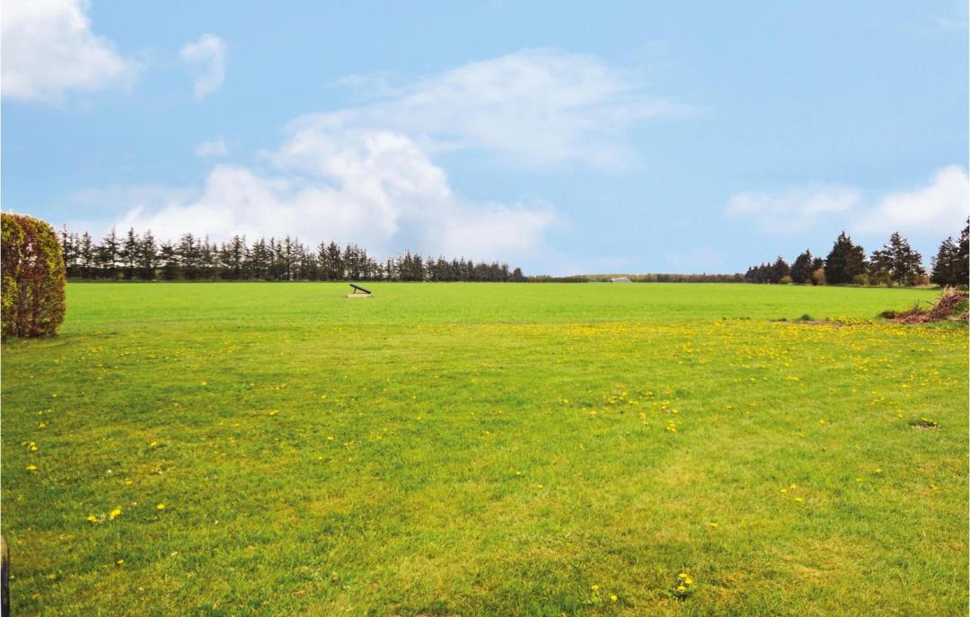 Photo of Others in Mandoe