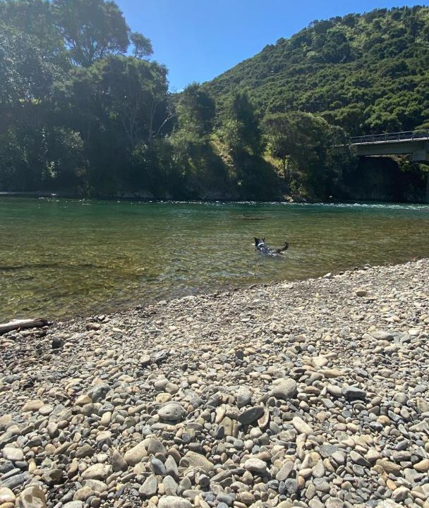 Photo of Others in Te Kaha