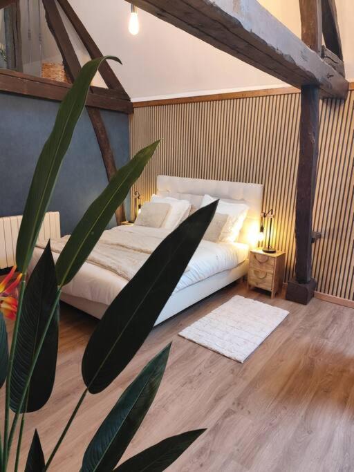 Photo of Others in Tosny