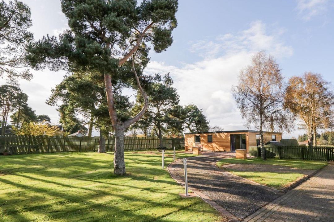 Photo of Others in Balloch