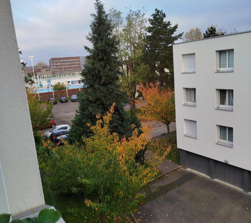 Photo of Others in Plein Sud