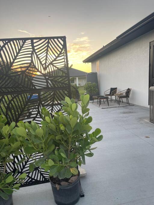 Photo of Patio Balcony in Sunshine
