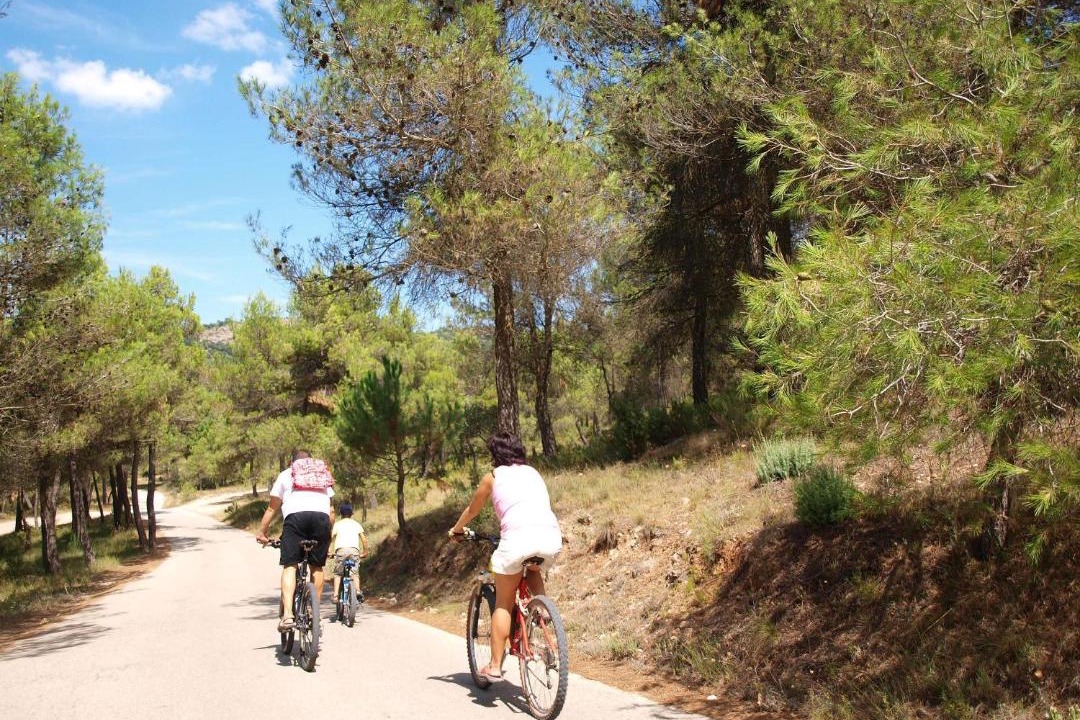 Photo of Others in Bocairente