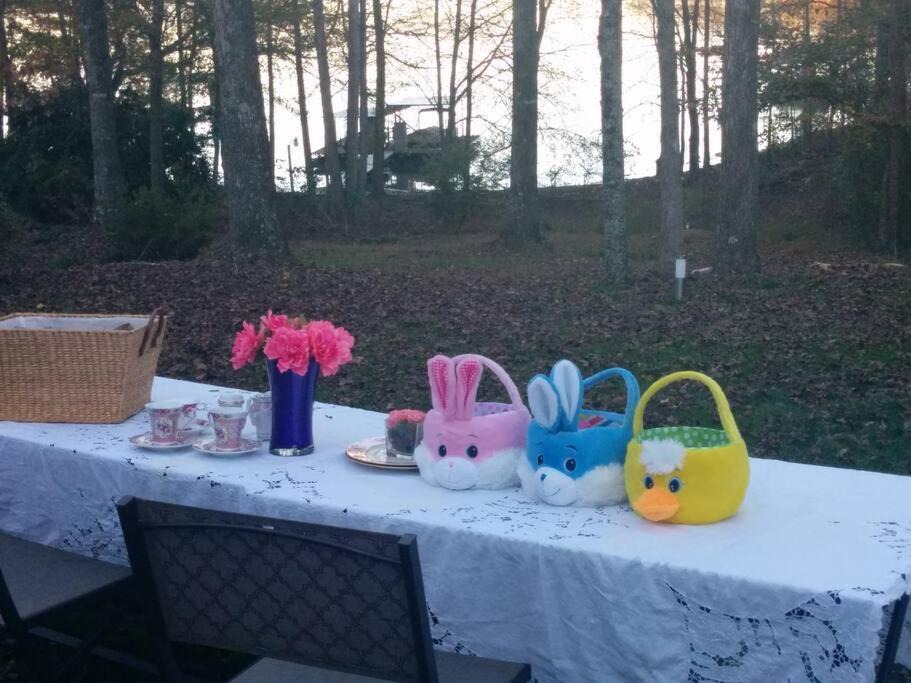 Photo of Others in Gainesville