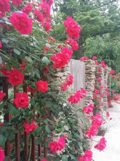 Photo of Others in Gainesville