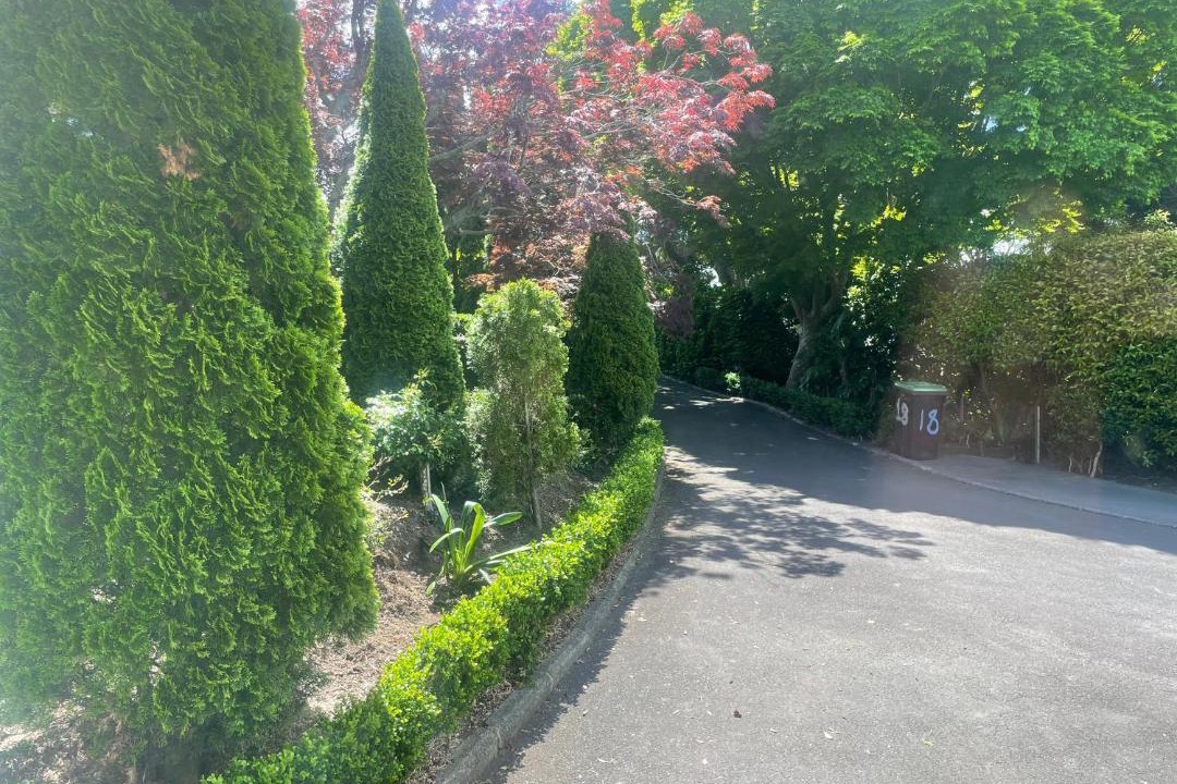 Photo of Others in Tauranga South