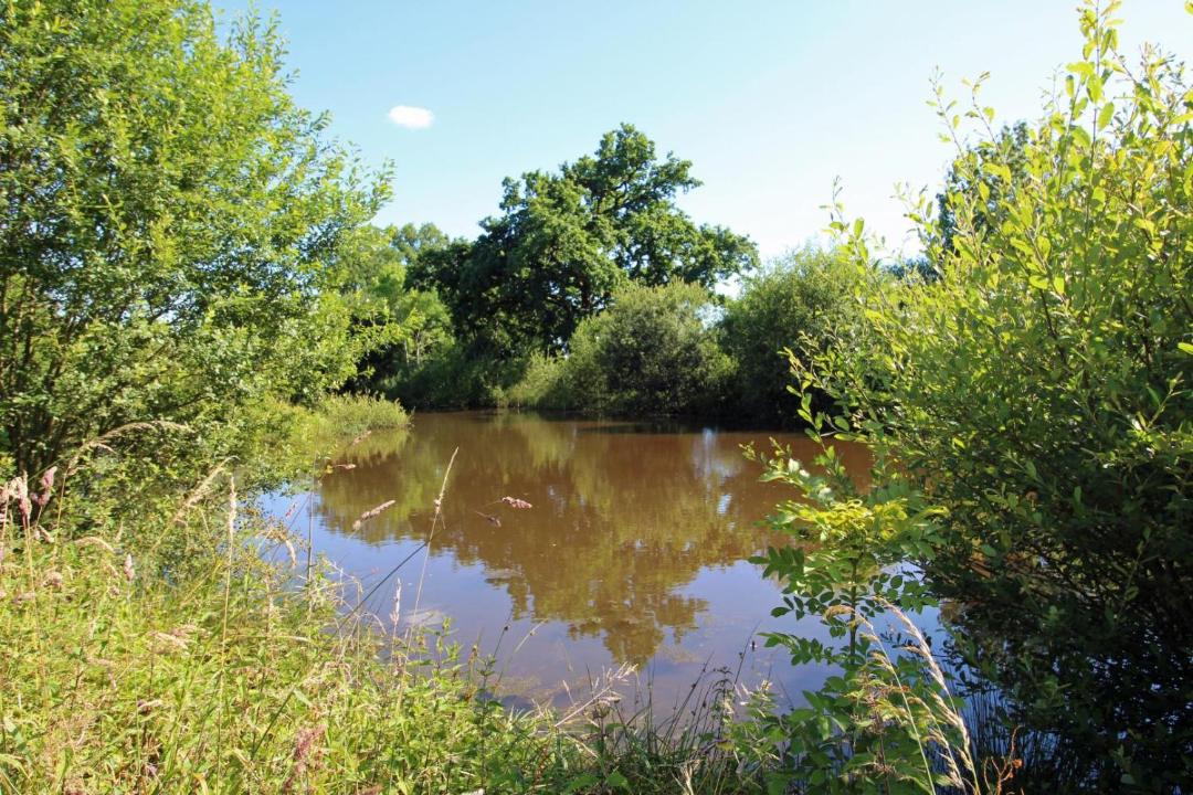 Photo of Others in Eyjeaux