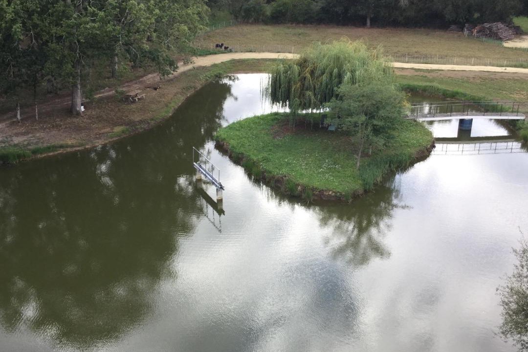 Photo of Others in Brigne