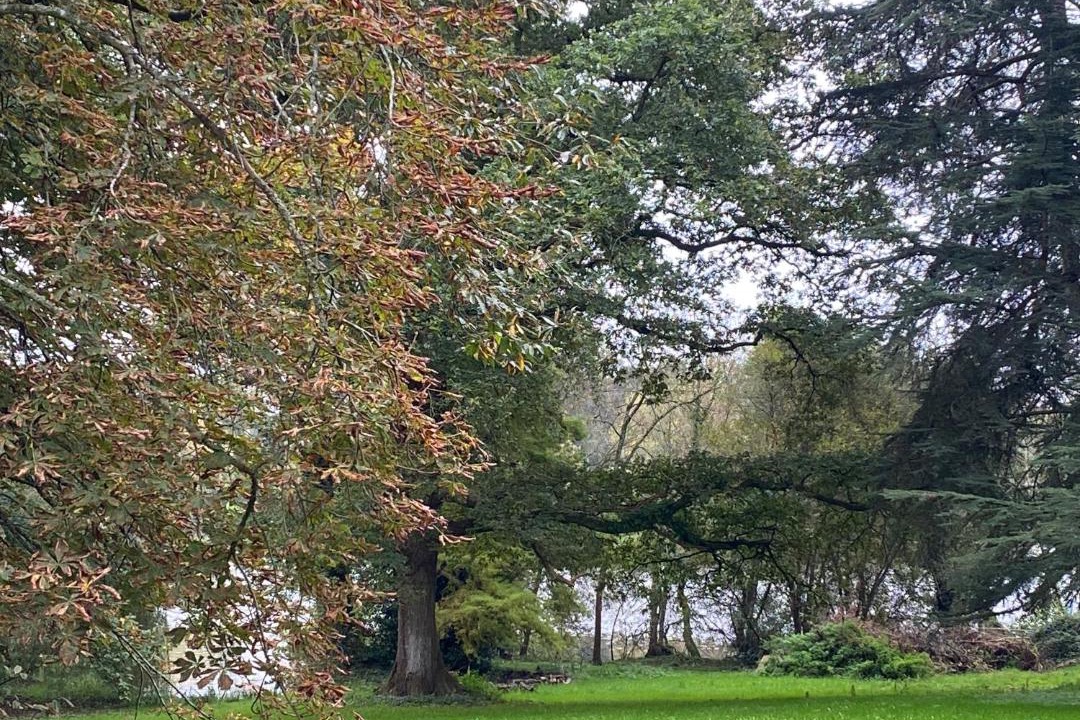 Photo of Others in Suce-sur-Erdre
