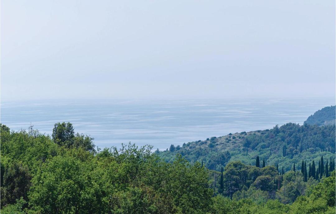 Photo of Others in Popovici