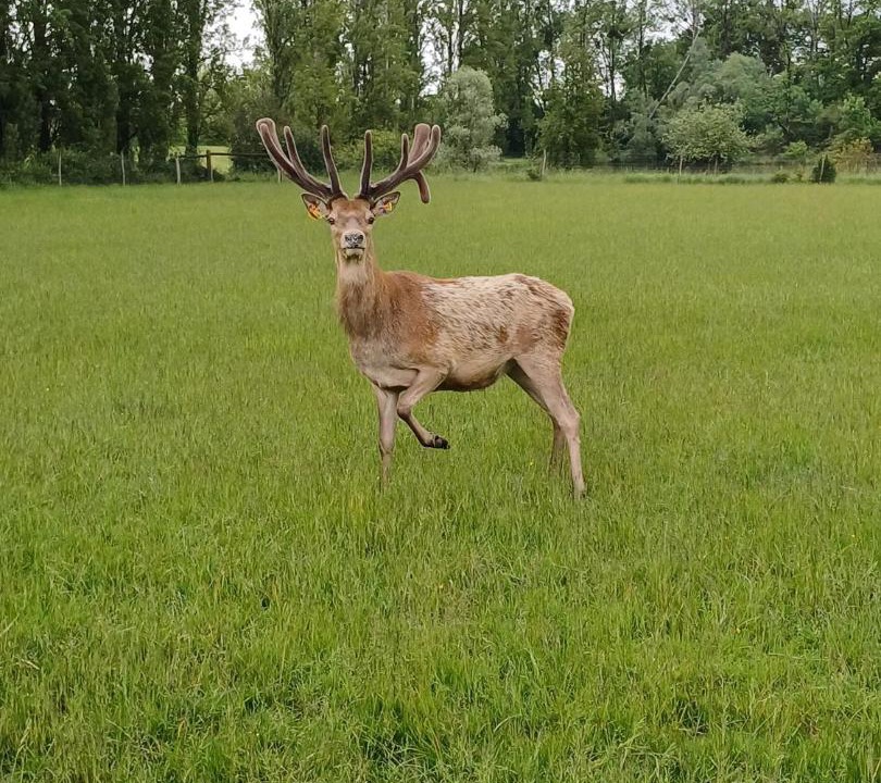 Photo of Others in Journet