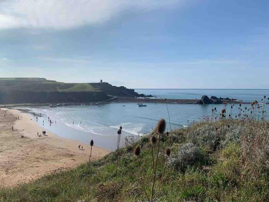 Photo of Others in Bude