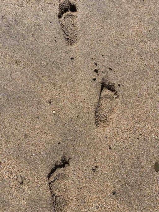 Photo of Others in Bude