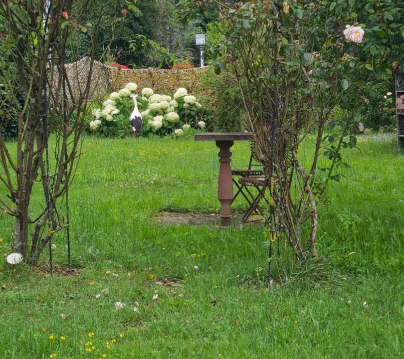 Photo of Others in Uhrwiller