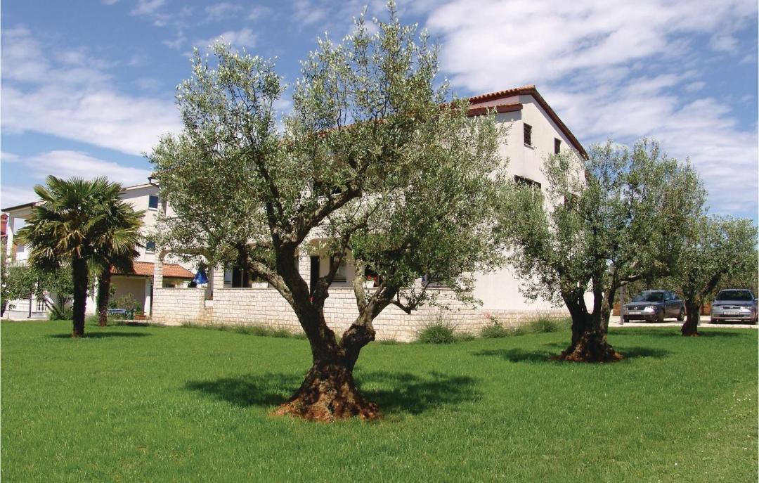 Photo of Others in Stancija Vodopija