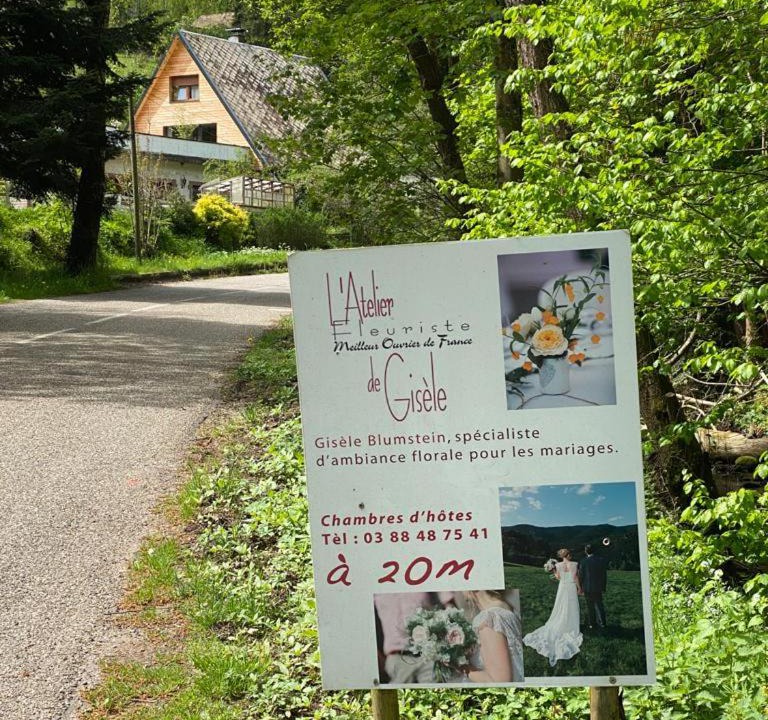 Photo of Outdoor in Lutzelhouse