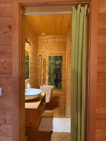 Photo of Bathroom in Lutzelhouse